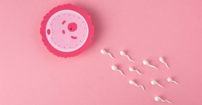 Reproductive medicine in India