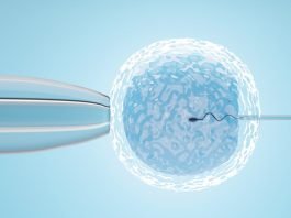 In Vitro Fertilization and its significance for couples seeking parenthood