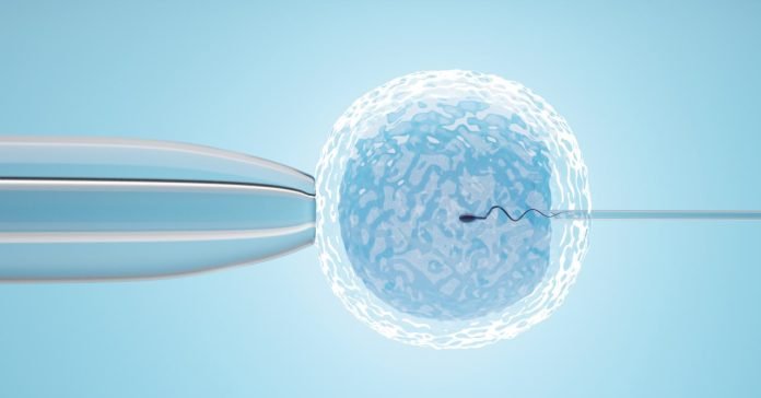 In Vitro Fertilization and its significance for couples seeking parenthood