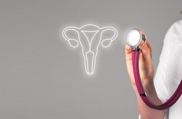 Vaginoplasty vs. Labiaplasty: What are the Key Differences?